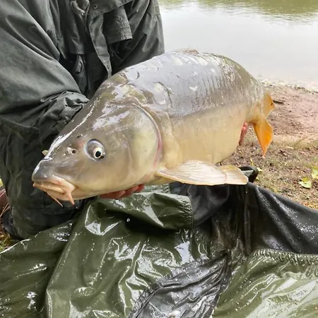 Maison De L'etang Troncais
