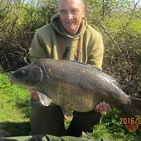 Maison De L'etang Lejlighed Troncais