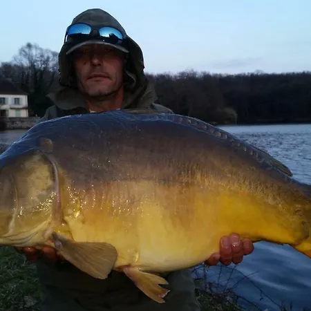 Maison De L'etang Lejlighed Troncais