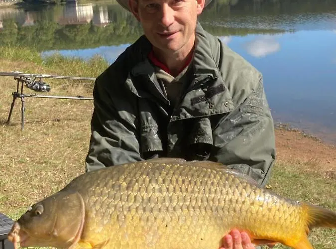 Apartment Maison De L'etang *