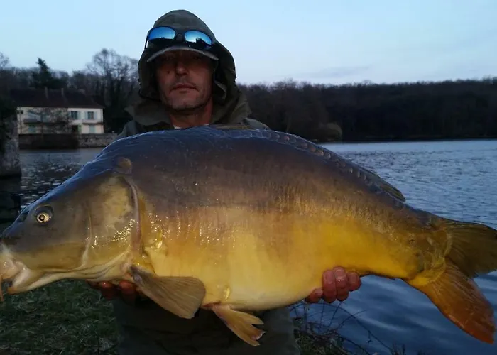 Maison De L'etang Apartment Troncais
